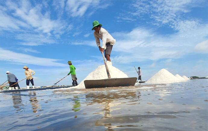 Hiện nay, những người làm muối đã chế tạo ra những dụng cụ thu hoạch đặc biệt, chỉ cần hai người và một chiếc máy nổ sử dụng dây kéo để gom muối về đúng vị trí cần thiết, giúp công việc trở nên nhanh chóng và hiệu quả hơn.