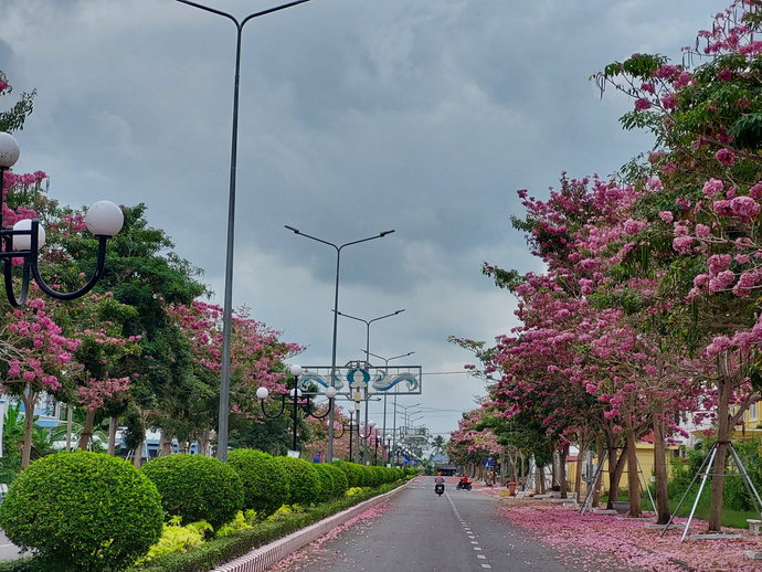 Thời gian tổ chức Lễ hội dự kiến diễn ra trong 5 ngày của tháng 3/2025.