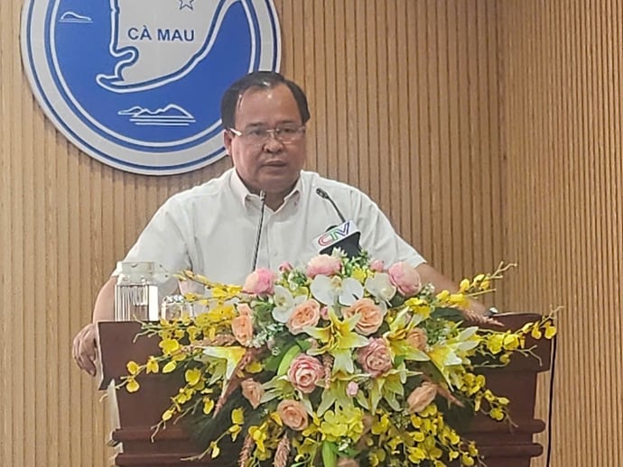 Ông Nguyễn Minh Luân - Phó Chủ tịch UBND tỉnh Cà Mau phát biểu tại Hội nghị.