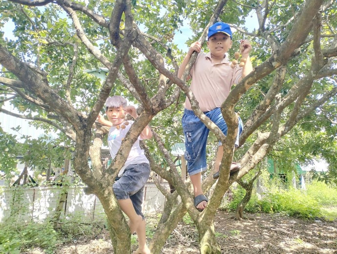 Các thành viên trong gia đình rất ấn tượng bởi dáng cây gân guốc, uốn lượn độc đáo.