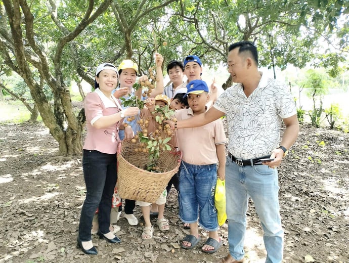 Du khách trải nghiệm thu hoạch và thưởng thức tại vườn nhãn hơn 100 năm tuổi.