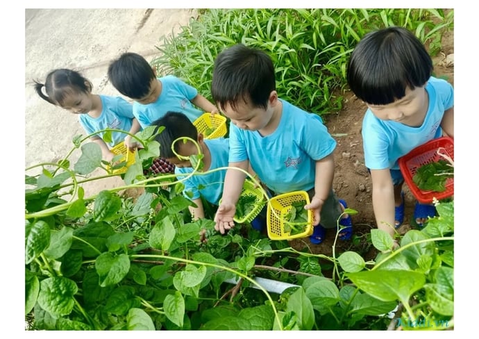 Dạy kỹ năng sống cho các em nhỏ ở cấp mầm non.