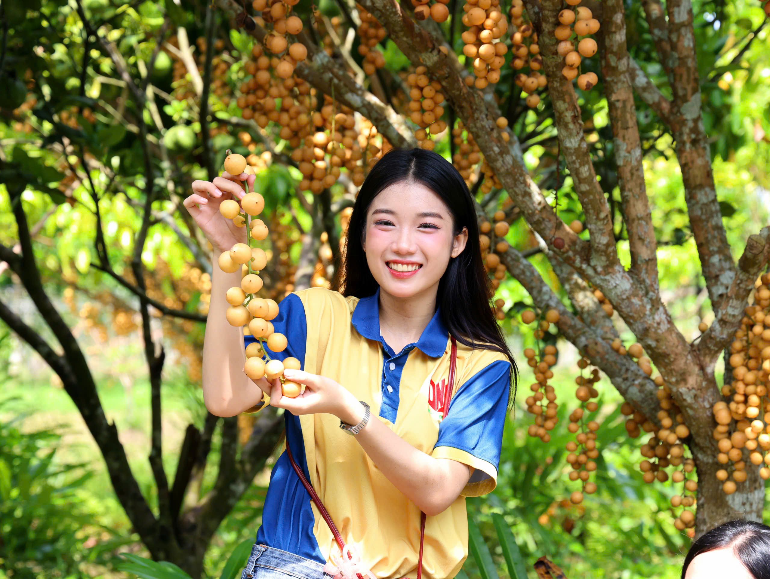 Á khôi Lâm Mỹ Huyền - Á khôi 2 Hoa khôi Trường Đại học Nam Cần Thơ năm 2025 chụp hình tại Vườn du lịch sinh thái Tư Dũng, xã Nhơn Ái, TP. Cần Thơ.