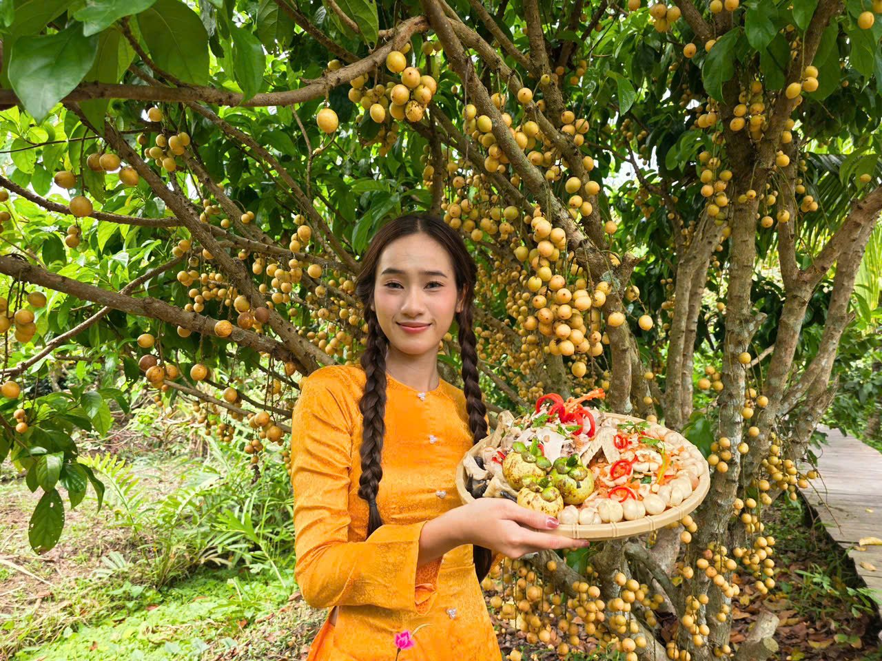 Hoa khôi Trương Uyên Nhi - Hoa khôi Trường Đại học Nam Cần Thơ năm 2025 tham gia giới thiệu ẩm thực tại Vườn du lịch sinh thái Tư Dũng, xã Nhơn Ái, TP. Cần Thơ.