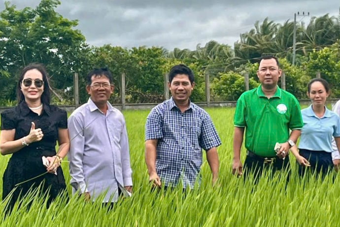 Mô hình nông nghiệp hữu cơ thông minh được triển khai với quy mô 5.000ha lúa hữu cơ