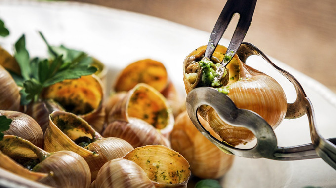 Escargot là một món ngon tinh túy của Pháp