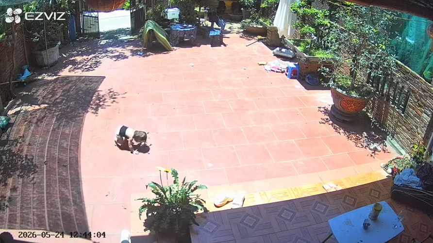 Empty
