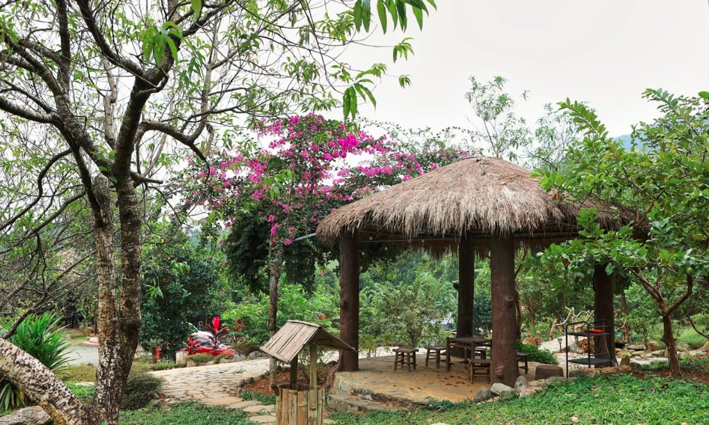 Gallery - Nam NSƯT có giọng hát nội lực từng trải qua đổ vỡ, U60 vẫn độc thân, hiện đang sống tự do tự tại giữa núi rừng