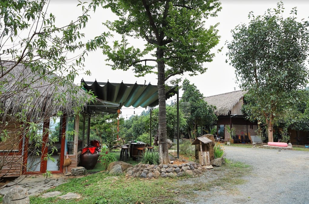 Gallery - Nam NSƯT có giọng hát nội lực từng trải qua đổ vỡ, U60 vẫn độc thân, hiện đang sống tự do tự tại giữa núi rừng - image 1
