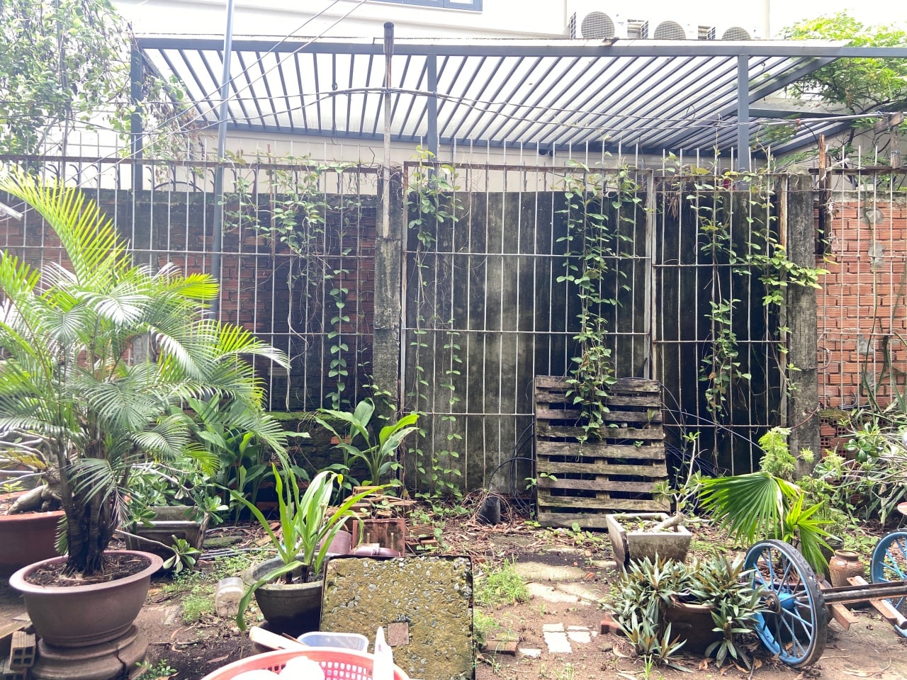 Gallery - Hy hữu ở TP.HCM: Nhà dù đã có sổ nhưng hơn 10 năm vẫn không thể về ở vì... không có lối đi - image 3