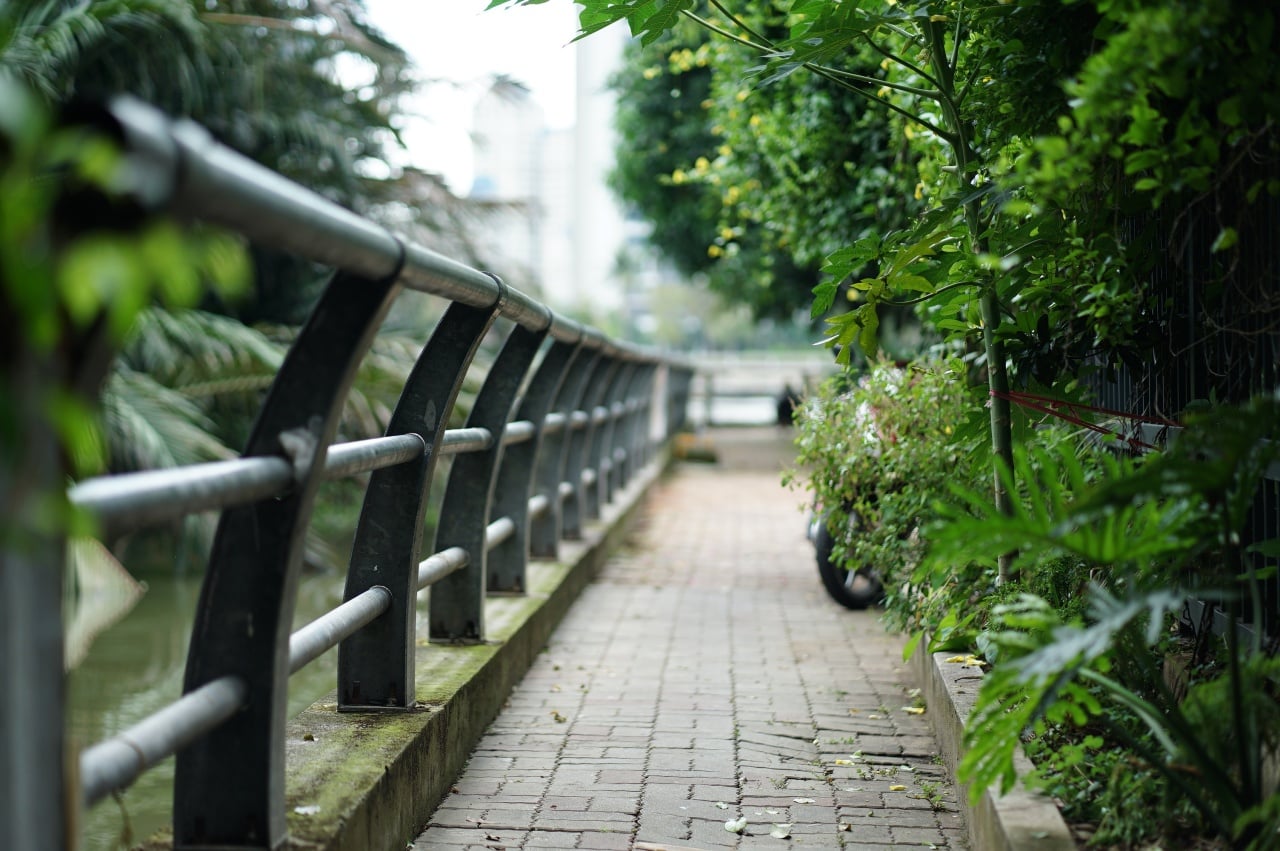 Gallery - Hy hữu ở TP.HCM: Nhà dù đã có sổ nhưng hơn 10 năm vẫn không thể về ở vì... không có lối đi - image 6