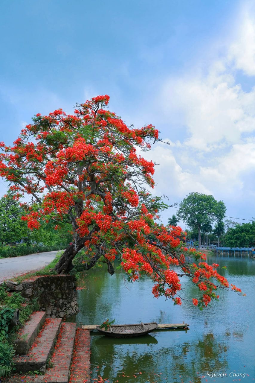 Gallery - Nơi nào ở Việt Nam không cần dùng điều hòa vẫn mát lạnh cất giấu 99 giếng cổ từ vó ngựa Thánh Gióng? - image 3