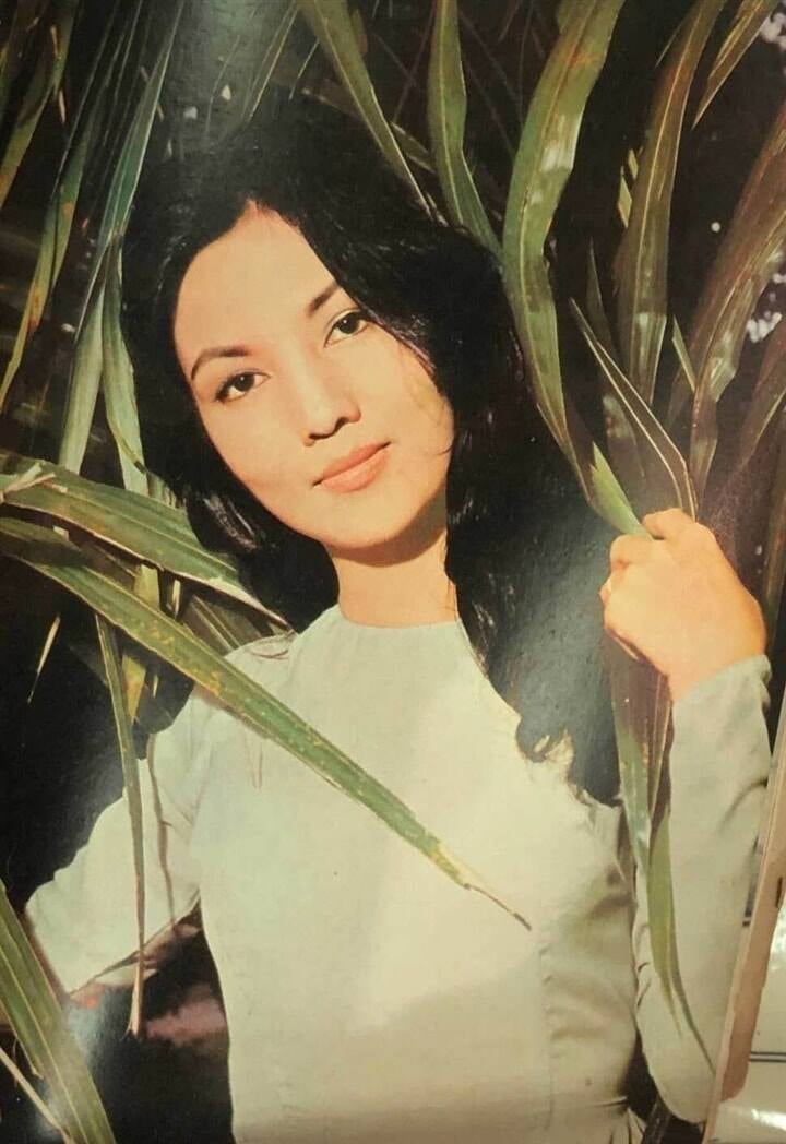 Gallery - Minh tinh duy nhất của Việt Nam tỏa sáng rực rỡ ở Hollywood, được vinh danh 'Đệ nhất diễn viên' - image 4