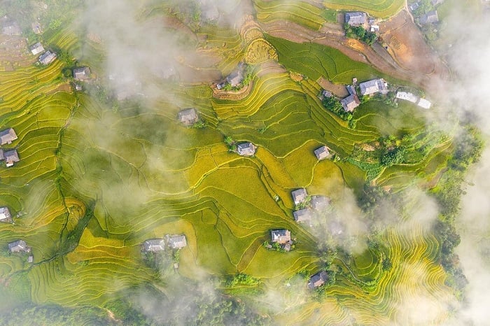 Gallery - Việt Nam còn có thêm một ‘thiên đường ruộng bậc thang’ hoang sơ, phong cảnh đẹp như tranh vẽ - image 1
