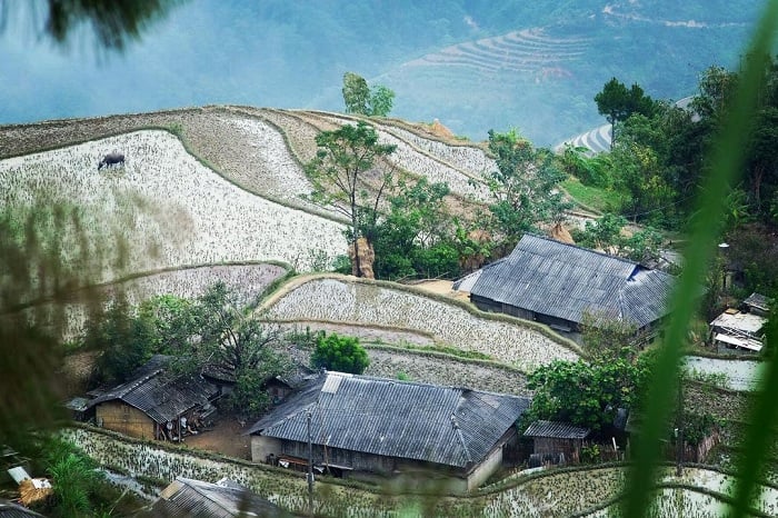 Gallery - Việt Nam còn có thêm một ‘thiên đường ruộng bậc thang’ hoang sơ, phong cảnh đẹp như tranh vẽ - image 3