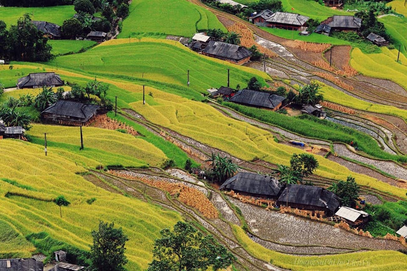 Gallery - Việt Nam còn có thêm một ‘thiên đường ruộng bậc thang’ hoang sơ, phong cảnh đẹp như tranh vẽ - image 4