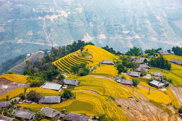 Gallery - Việt Nam còn có thêm một ‘thiên đường ruộng bậc thang’ hoang sơ, phong cảnh đẹp như tranh vẽ - image 6