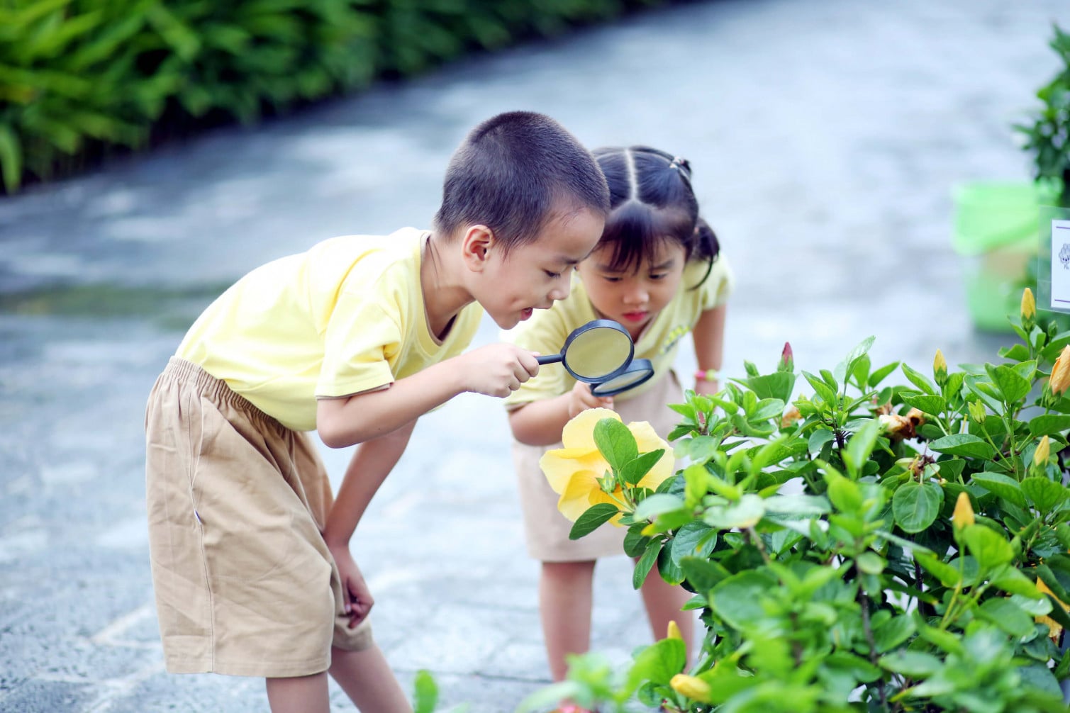 Gallery - 90% học sinh có 4 sở thích này khi vui chơi đều sở hữu IQ và EQ cao, con bạn được mấy cái? - image 3
