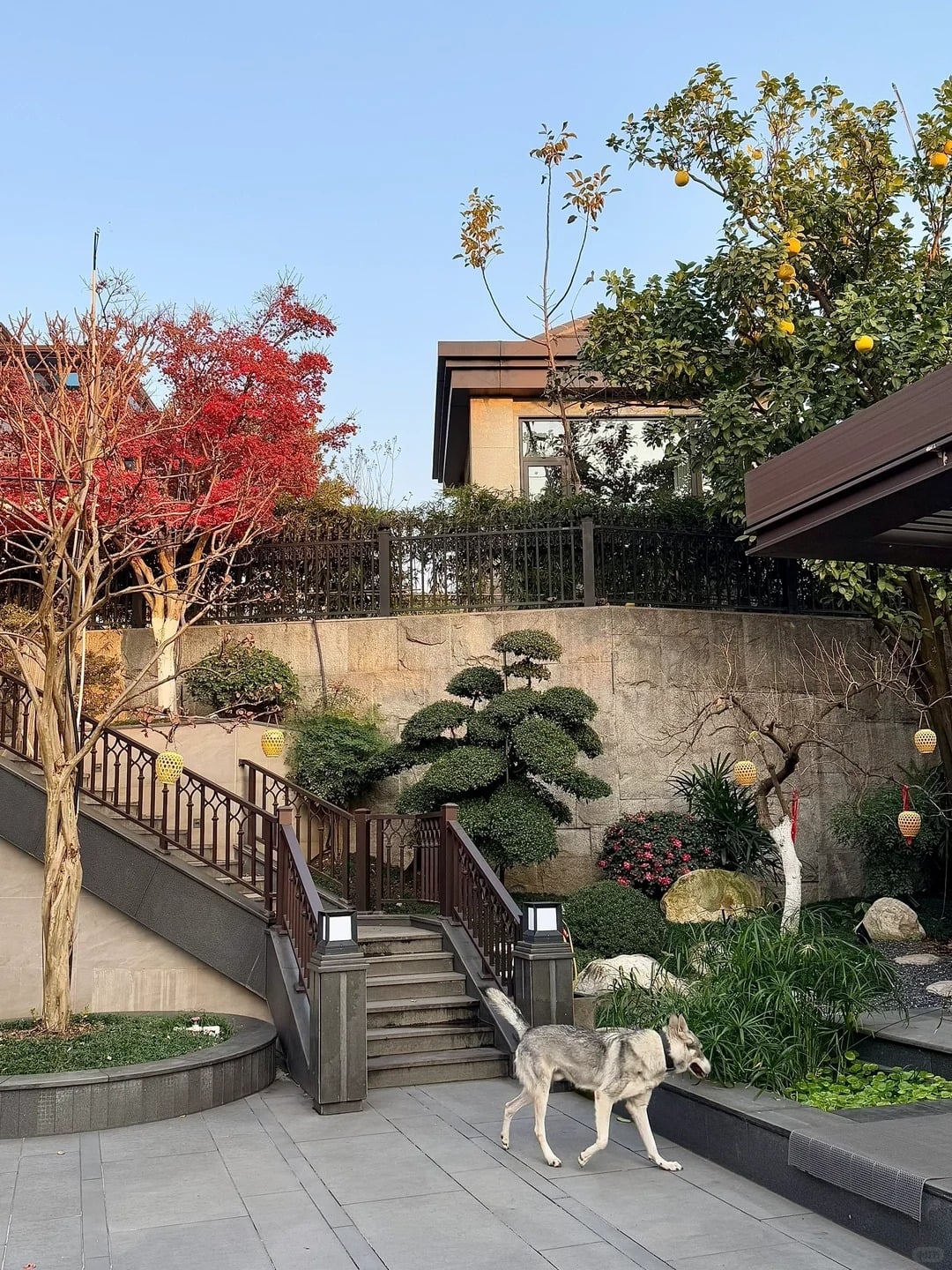 Gallery - Chọn biệt thự thay vì căn hộ cao cấp, bà mẹ hai con biến không gian 1.000m² thành thế giới tuổi thơ: Công viên trong nhà, có cả rạp chiếu phim 770 triệu - image 10