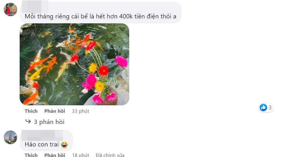 Xuân Bắc 1
