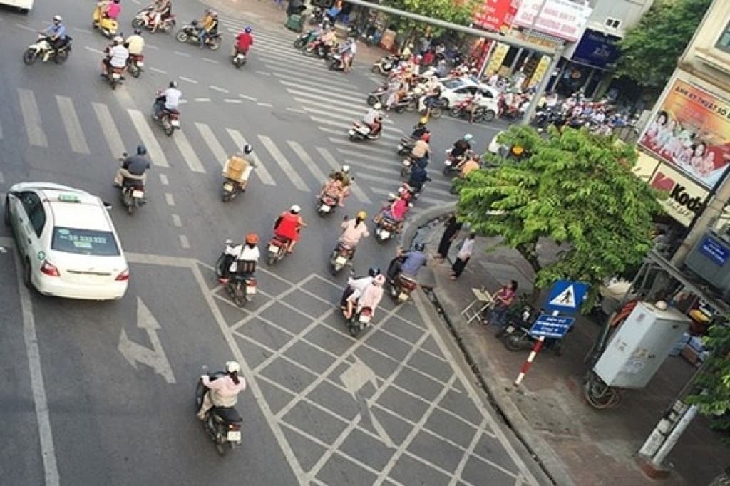 vạch kẻ mắt võng  0