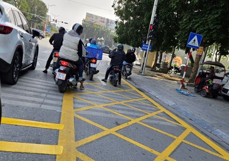 vạch kẻ mắt võng  4