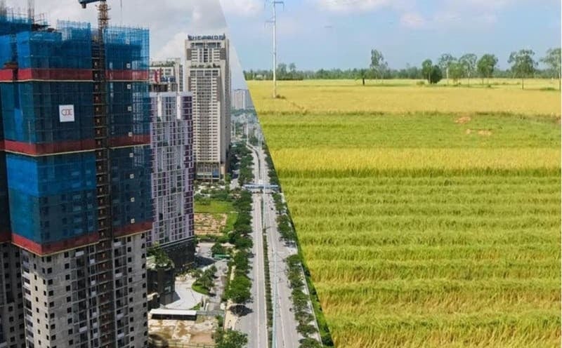 Từ 22/4: Đất nông nghiệp đáp ứng các điều kiện này sẽ được thí điểm chuyển nhượng làm nhà ở thương mại 1