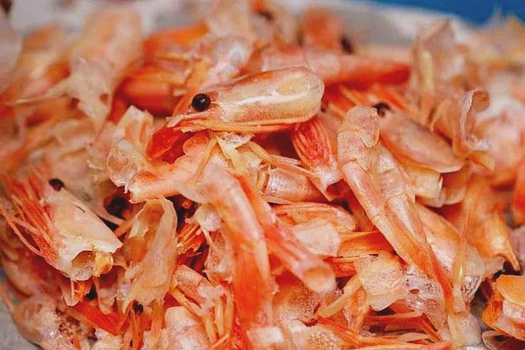 vỏ tôm 1