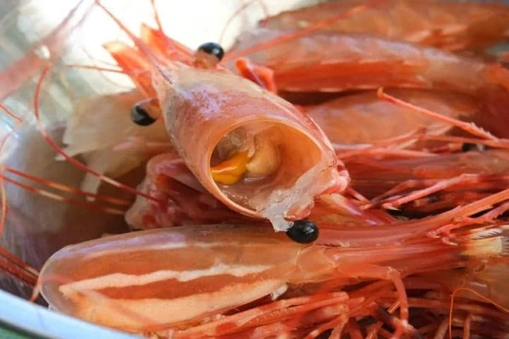 vỏ tôm 0