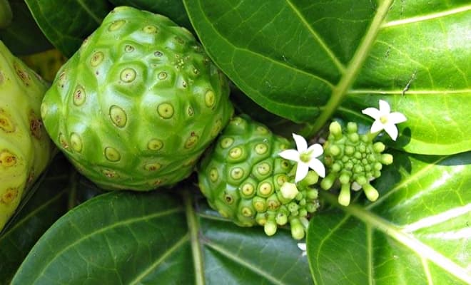 0-qua-nhau-2.jpg 0