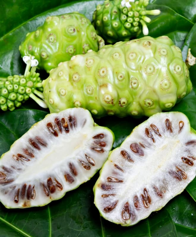 0-qua-nhau-2.jpg 3