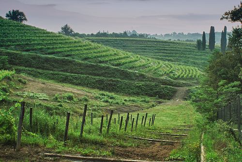 10 truyền thống đặc biệt trong ngày lễ tình nhân trên Thế giới - 5