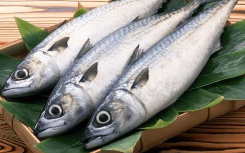 cá  chứa omega 3 cao hơn cá hồi 0