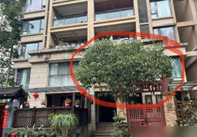 Gallery - Đừng mang cây râm mát vào nhà, và đừng mang cây nắng vào mộ. Những loại cây nào được coi là cây râm mát? Nhà bạn có trồng loại cây nào như vậy không? - image 3