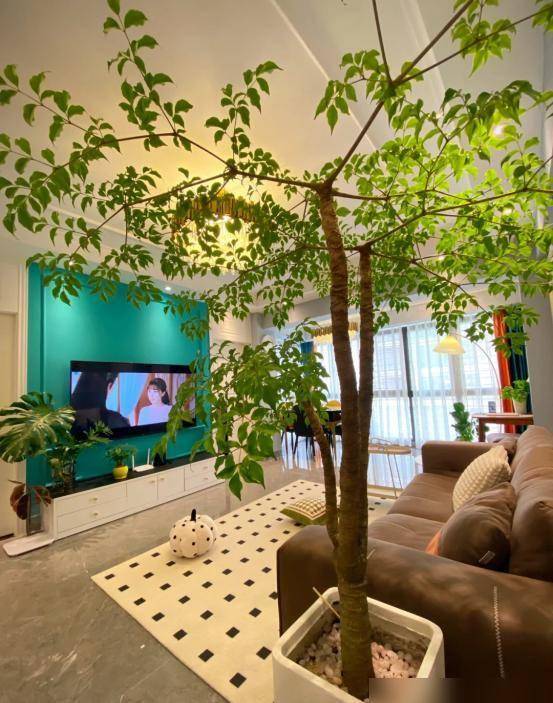 Gallery - Đừng mang cây râm mát vào nhà, và đừng mang cây nắng vào mộ. Những loại cây nào được coi là cây râm mát? Nhà bạn có trồng loại cây nào như vậy không? - image 4