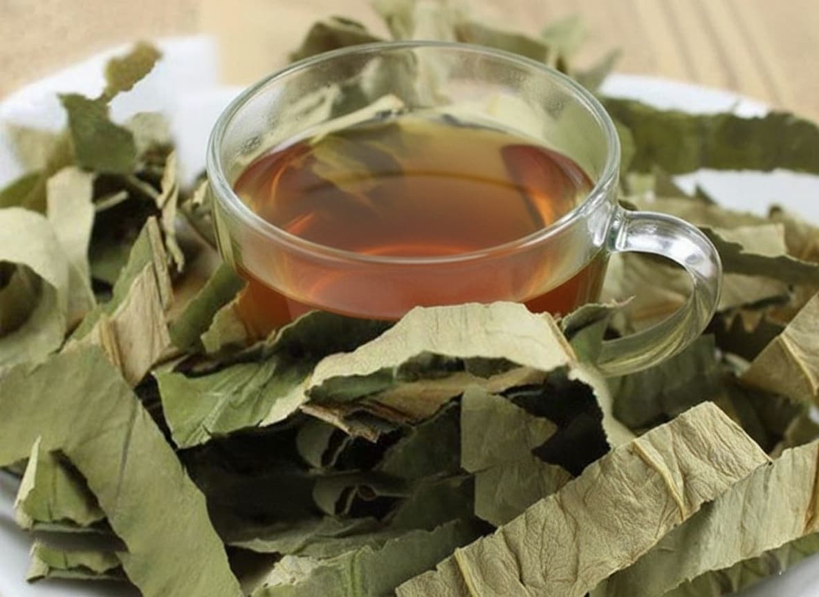 công dụng của lá mướp 3