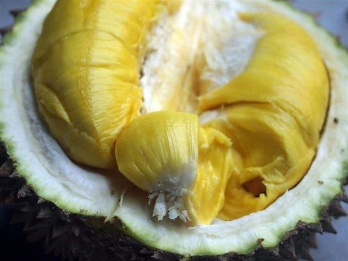 Người phụ nữ nguy kịch sau khi ăn sầu riêng rồi uống nhiều rượu. Ảnh minh họa.