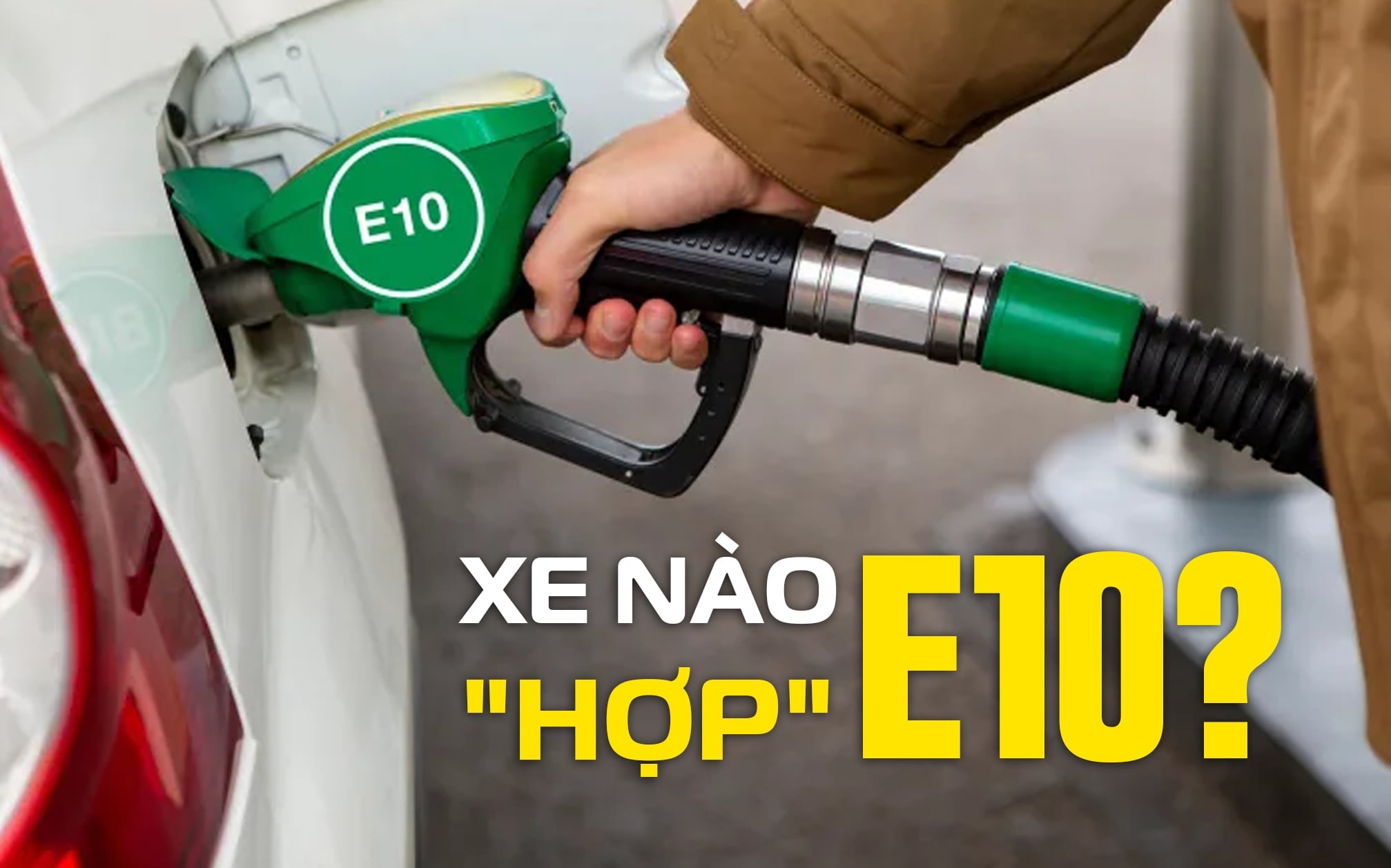 Từ mai, xăng E10 được bán rộng rãi: Xăng mới dễ gây hỏng động cơ? Xe nào hợp ?