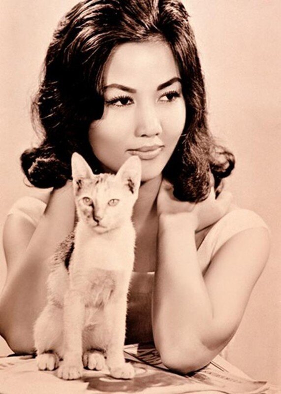 Tứ đại mỹ nhân Sài Gòn Kiều Chinh: Nữ diễn viên Việt duy nhất được vinh  danh tại Hollywood, nhan sắc U90 đáng kinh ngạc