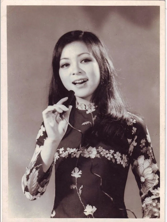 av1_1781253323.png