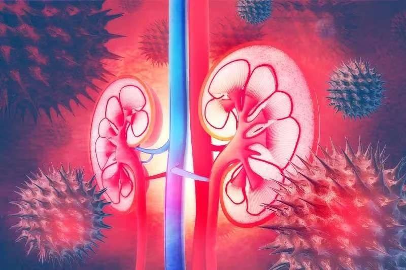 Gallery - Việc đi tiểu nhiều lần sau khi uống nước có phải là dấu hiệu của thận khỏe mạnh hay không? Câu trả lời rất đơn giản - image 2