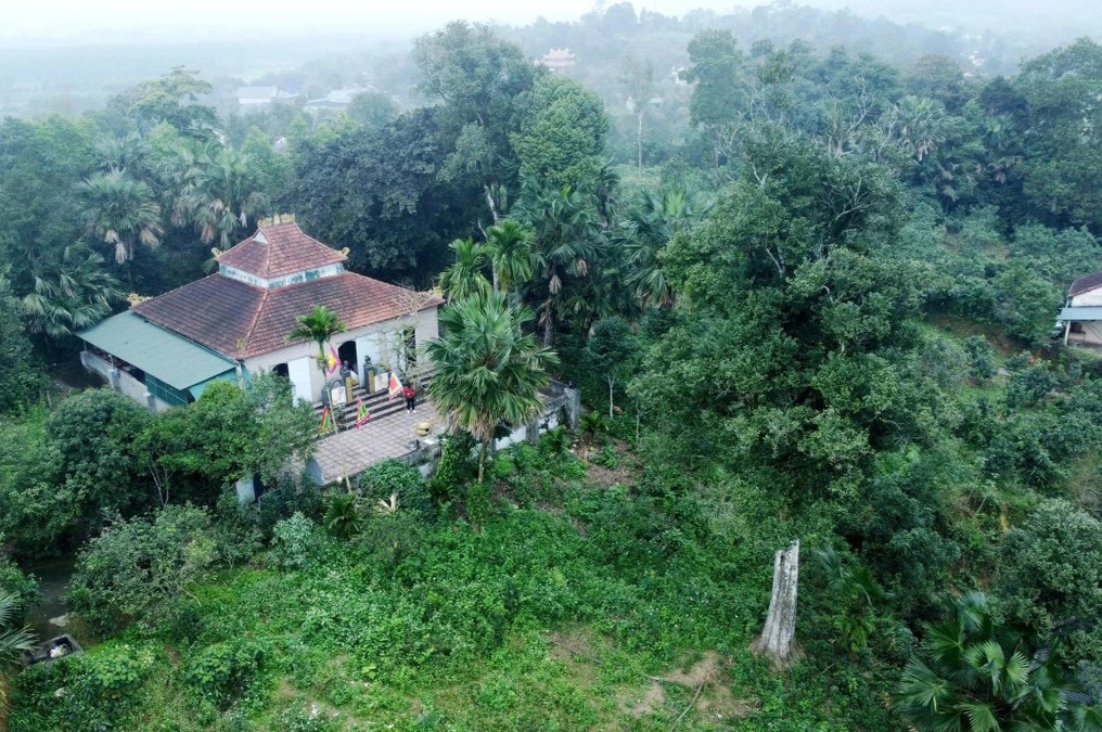 Hai cây gỗ quý hơn 200 tuổi ở Việt Nam: Được trả 100 tỷ vẫn không bán, cả làng thay nhau canh giữ - áº¢nh 1.