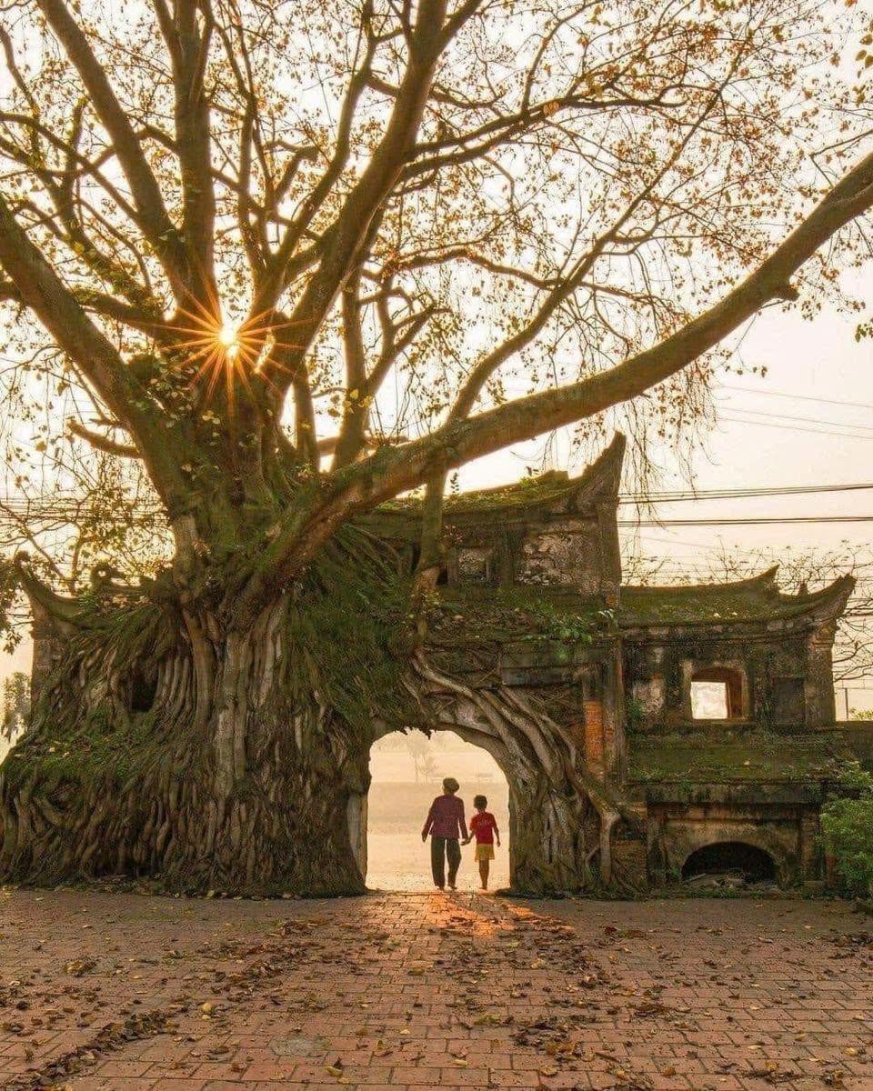 Gallery - Ngôi làng hơn 1.000 năm tuổi cách trung tâm Hà Nội 45 km, được mệnh danh là 'bảo tàng sống' lưu giữ loạt di tích quốc gia và nhà cổ - image 4