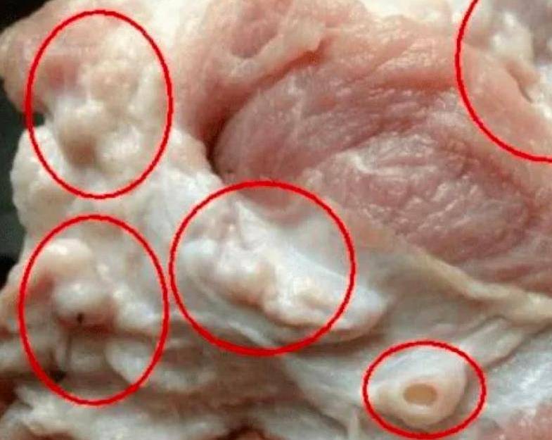 Gallery - Bác sĩ khuyên không nên ăn nhiều 7 bộ phận này của lợn, trong đó ruột già là bộ phận cuối cùng, và phần trên cùng là bộ phận được nhiều người ưa thích - image 4