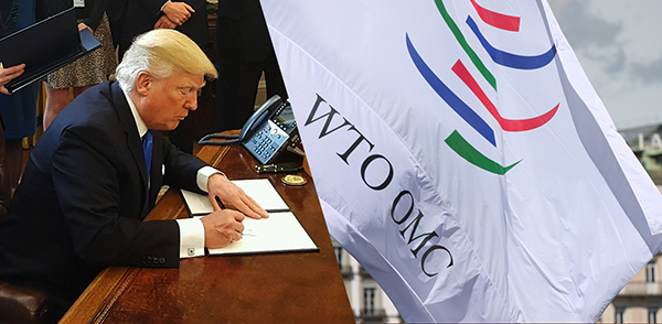Donald_Trump_WTO x600-image