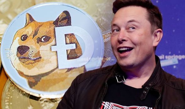 dogecoin-price-elon-musk-tweets-doge-lose-money-cryptocurrency-latest-evg-1396167