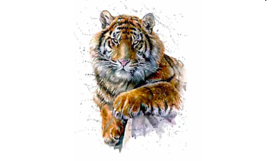 Khám phá sự kiện tuyệt vời với hình ảnh về một con hổ huyền thoại, phong cách, rung động và đầy sức mạnh. Nhấn mạnh nét đẹp hoang dã của con hổ và để rực rỡ trong trí tưởng tượng của bạn.