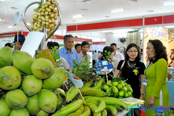 trung tam nong san