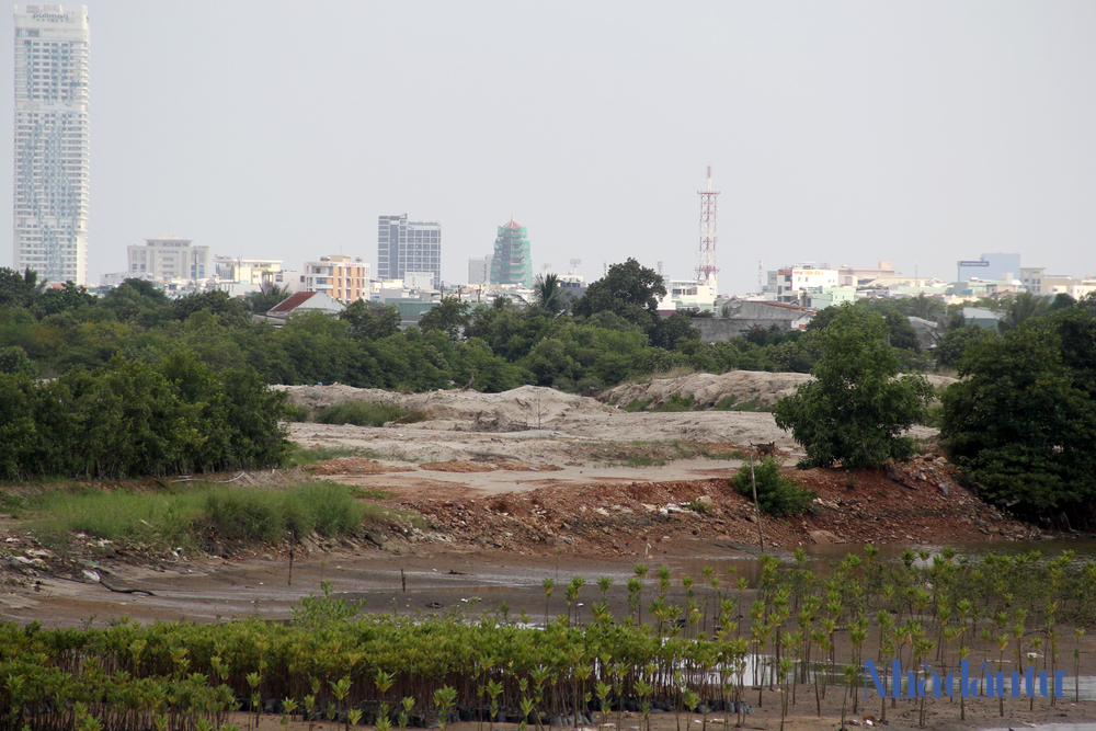 du-an-no-tien-thue-dat-o-binh-dinh (7)