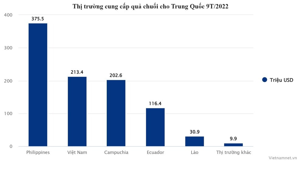 thi-truong-chuoi